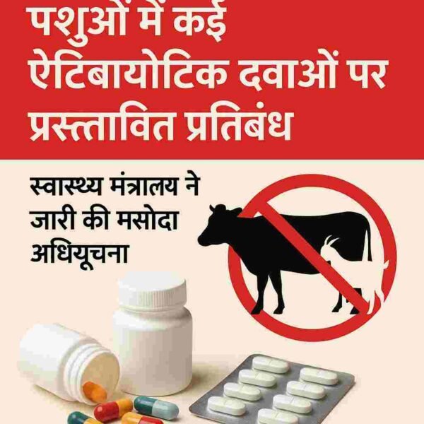 पशुओं में कई एंटीबायोटिक दवाओं पर प्रस्तावित प्रतिबंध, स्वास्थ्य मंत्रालय ने जारी की मसौदा अधिसूचना